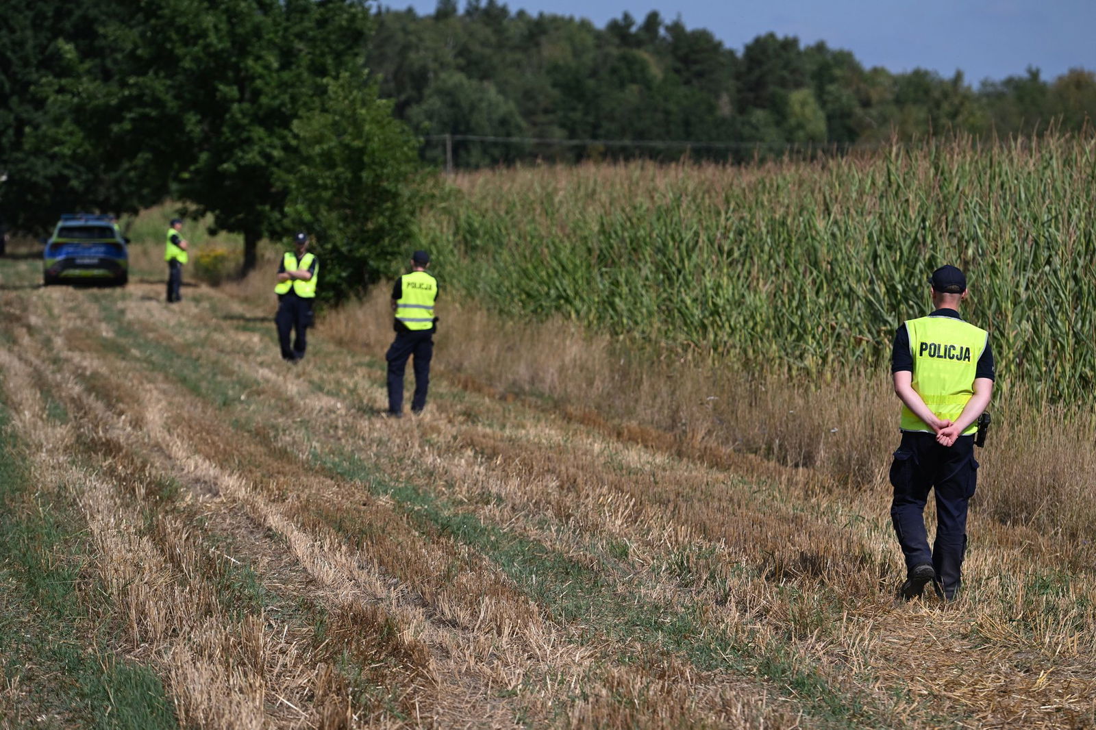 Polnische Polizisten sichern das Gebiet eines Maisfeldes in Osiny in Ostpolen, in das ein unbekanntes Flugobjekt gestürzt ist. (Foto aktuell)