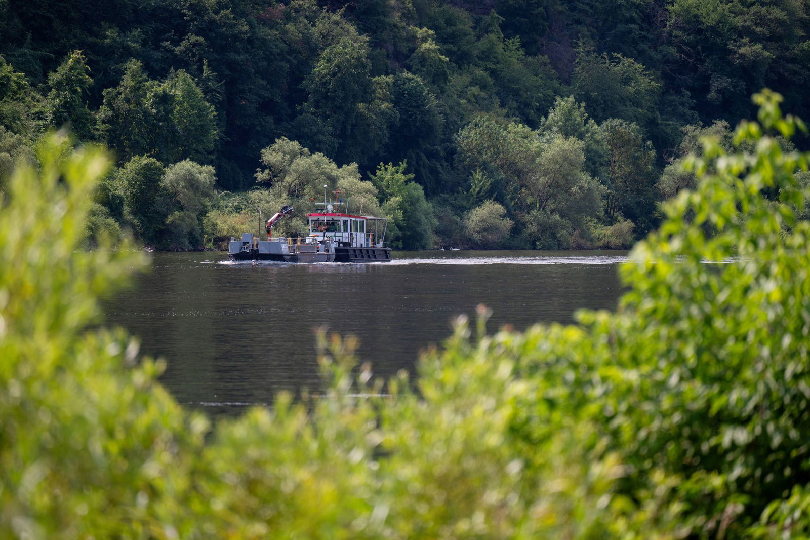 In Teilen von Rheinland-Pfalz bleibt es heute sommerlich. (Symbolbild)