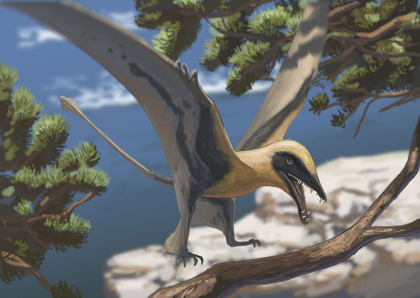 Rekonstruktion des Flugsauriers Eudimorphodon