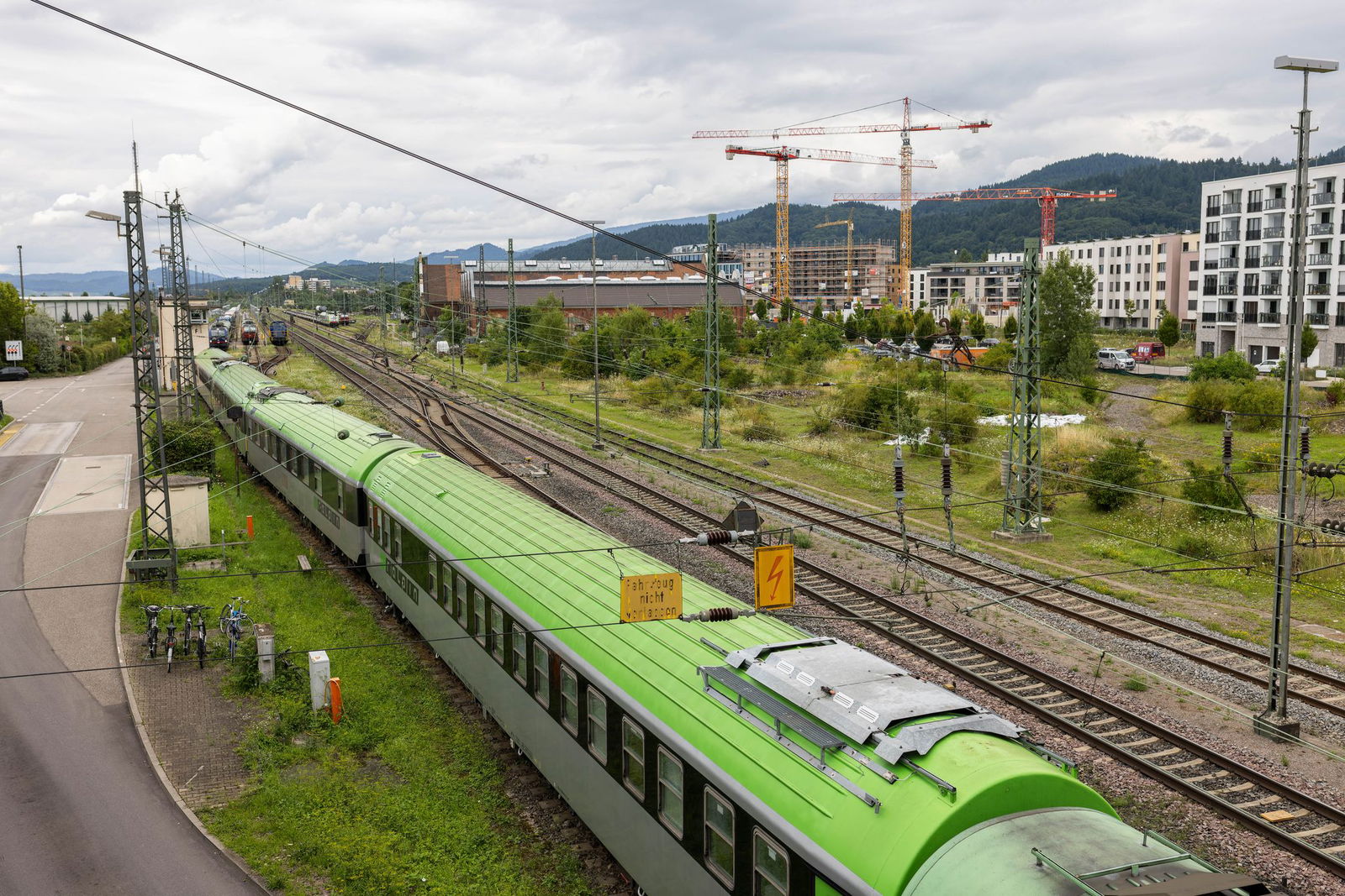 Das von den Behörden ausgewiesene Befallsgebiet erstreckt sich rund um den Freiburger Güterbahnhof.