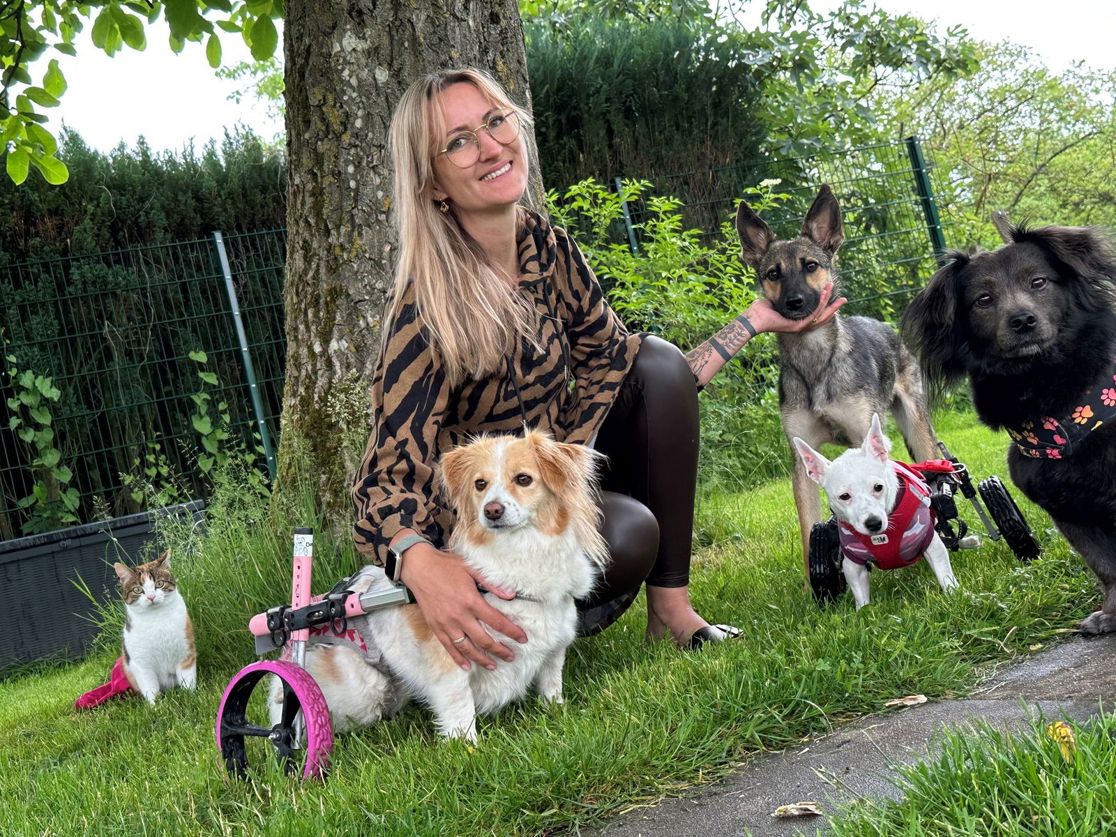 Auf dem «Lebenshof» von Lara Sohn in Heusweiler leben Hunde und Katzen friedlich zusammen. Alle stammen aus Krisengebieten und sind gelähmt – ihrer Lebensfreude tut das keinen Abbruch.