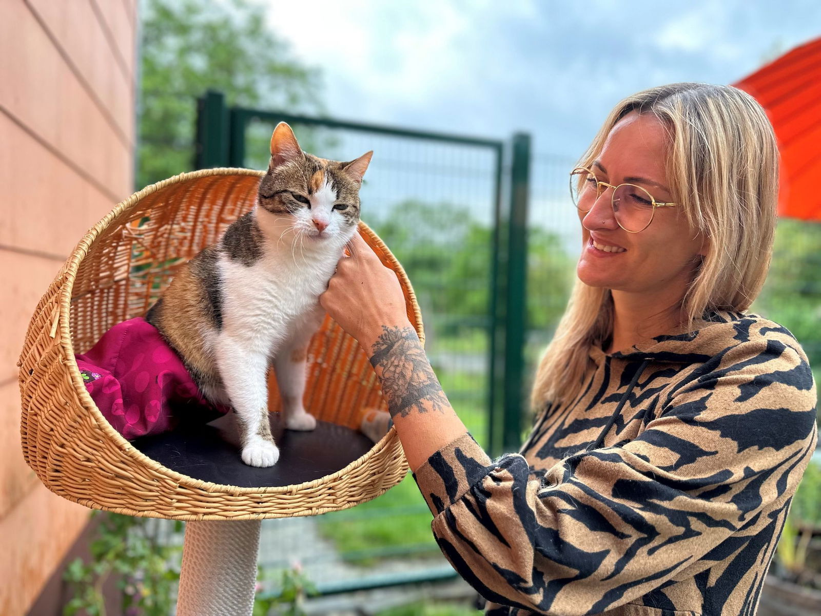 Tierschützerin Lara Sohn streichelt die gelähmte Katze «Little Bee», die im Süden von Kroatien ausgesetzt worden war.