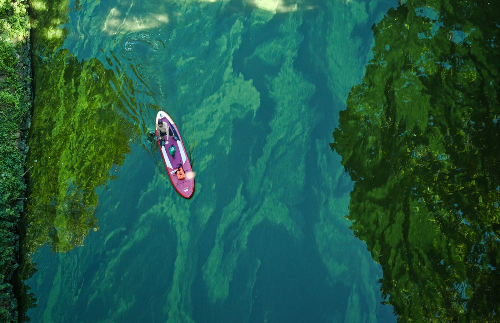 Blaualgen erkennt man an einem grün-bläulichen, oft öligen Film auf der Wasseroberfläche. Das Wasser kann trüb oder schlammig wirken, manchmal wie eine grüne Suppe. (Archivbild) 