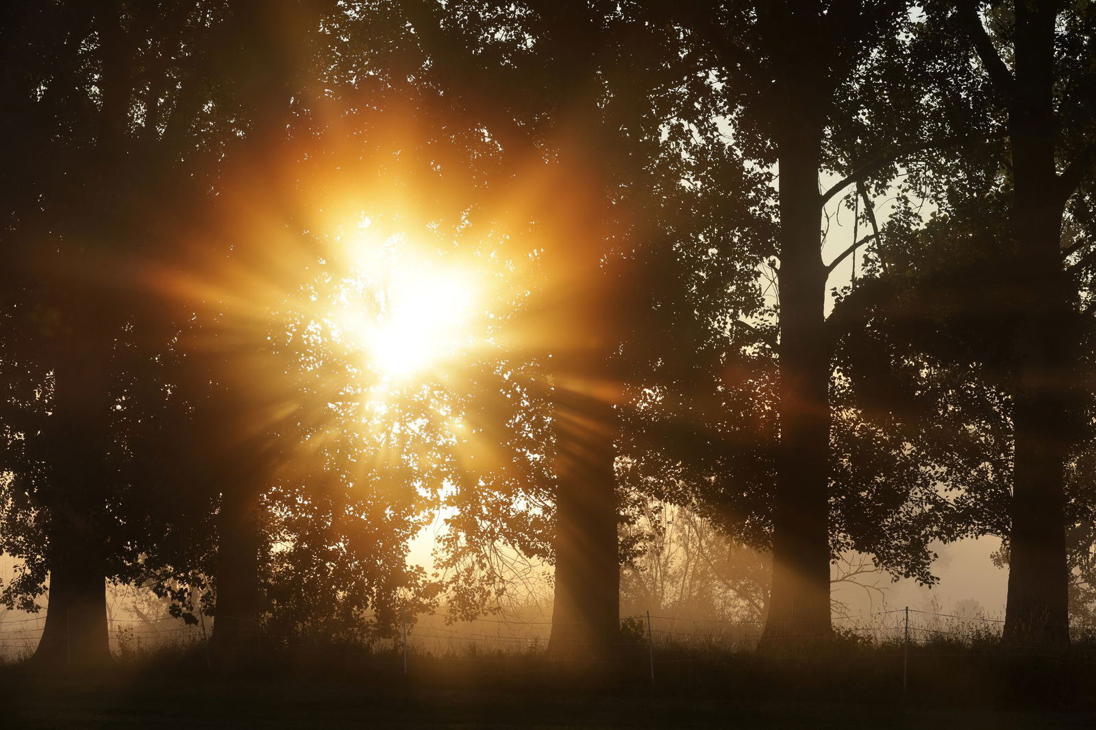 Sonnenschein satt kündigt der Wetterdienst an. (Archivbild)