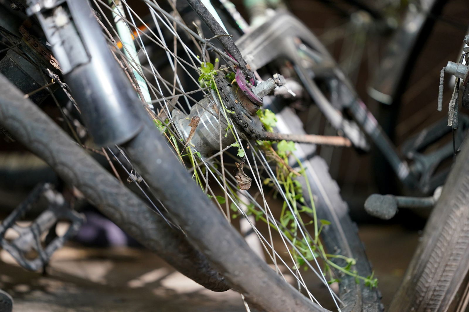 Auch in baden-württembergischen Kommunen werden Jahr für Jahr Hunderte von Schrottfahrrädern eingesammelt und entsorgt. (Archivbild) 