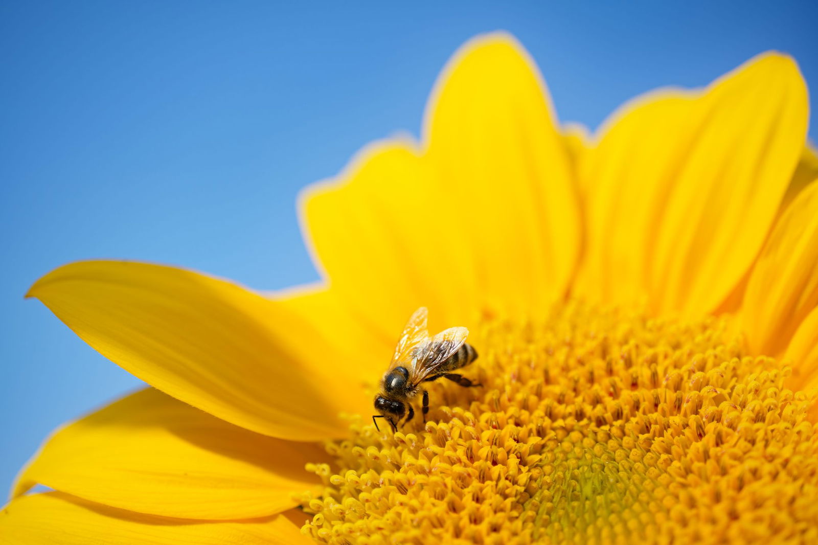 Am Dienstag wird es noch einmal sommerlich im Südwesten. (Archivbild)