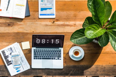 pflanze, laptop, vogelp