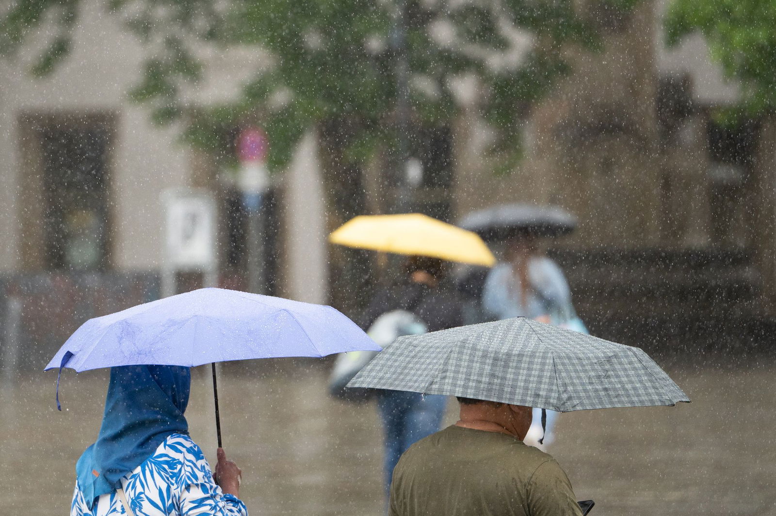 Bis Mitte kommender Woche bleibt der Regenschirm ein wichtiger Begleiter. (Symbolbild)