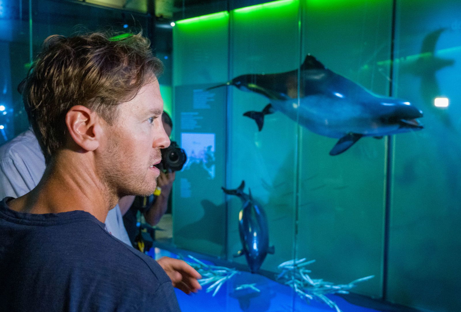 Sebastian Vettel erhält Einblicke in das Leben im Meer. 