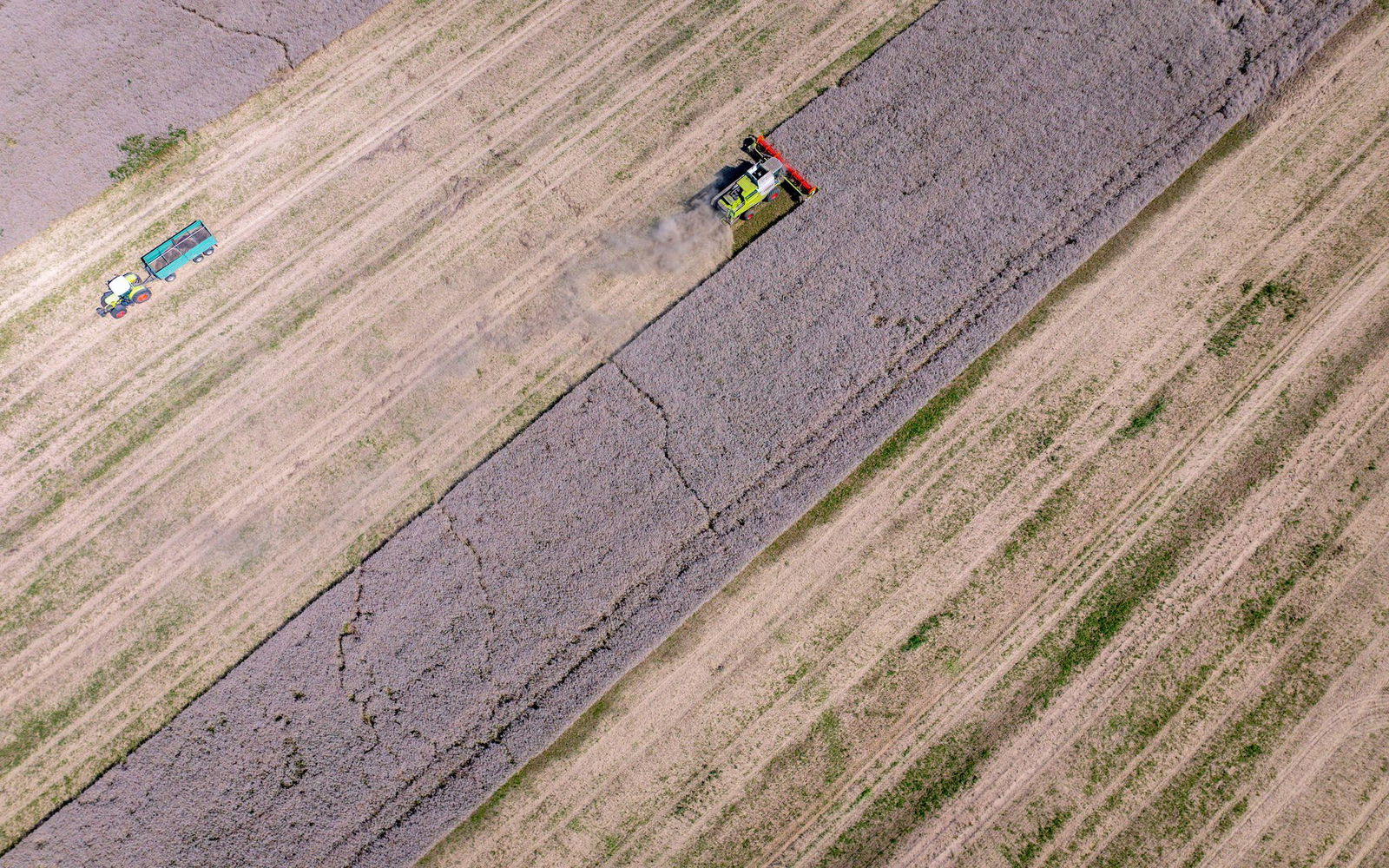 Neben dem Wetter macht den Bauern auch der Druck durch die Marktlage zu schaffen.(Archiv)