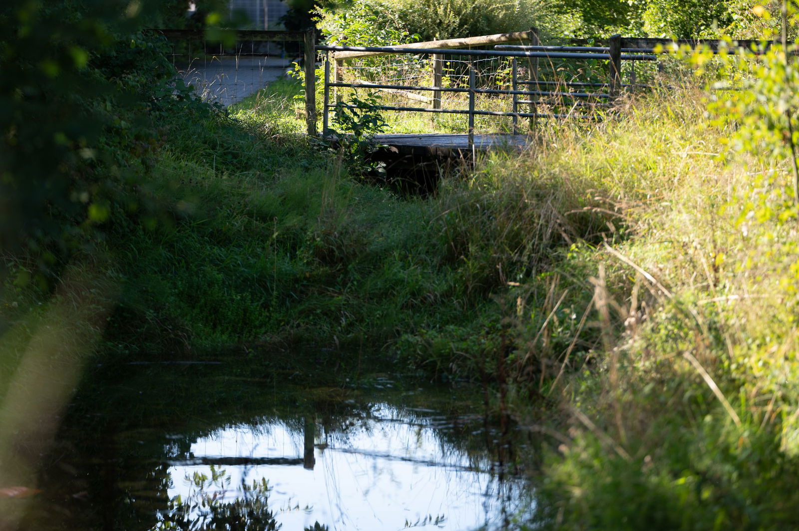 Unter der Brücke hatten Anwohner schon früh den Geruch mitbekommen.