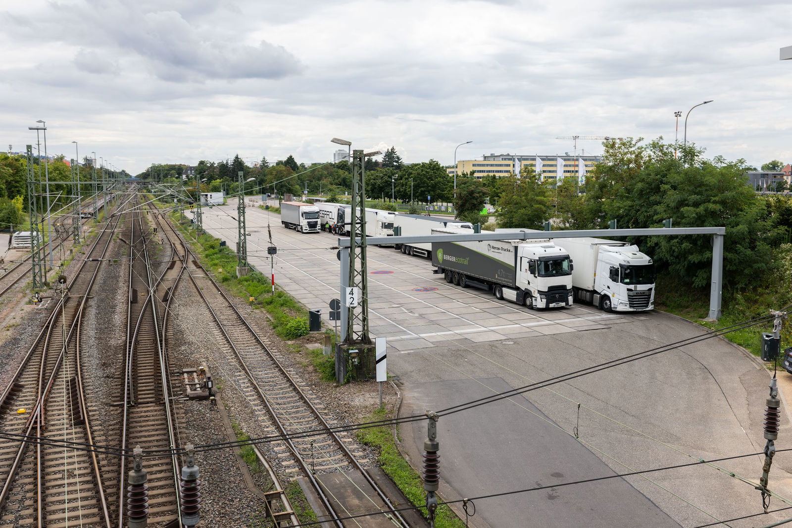 Der Freiburger Güterbahnhof gilt als ein Hotspot für Japankäfer.