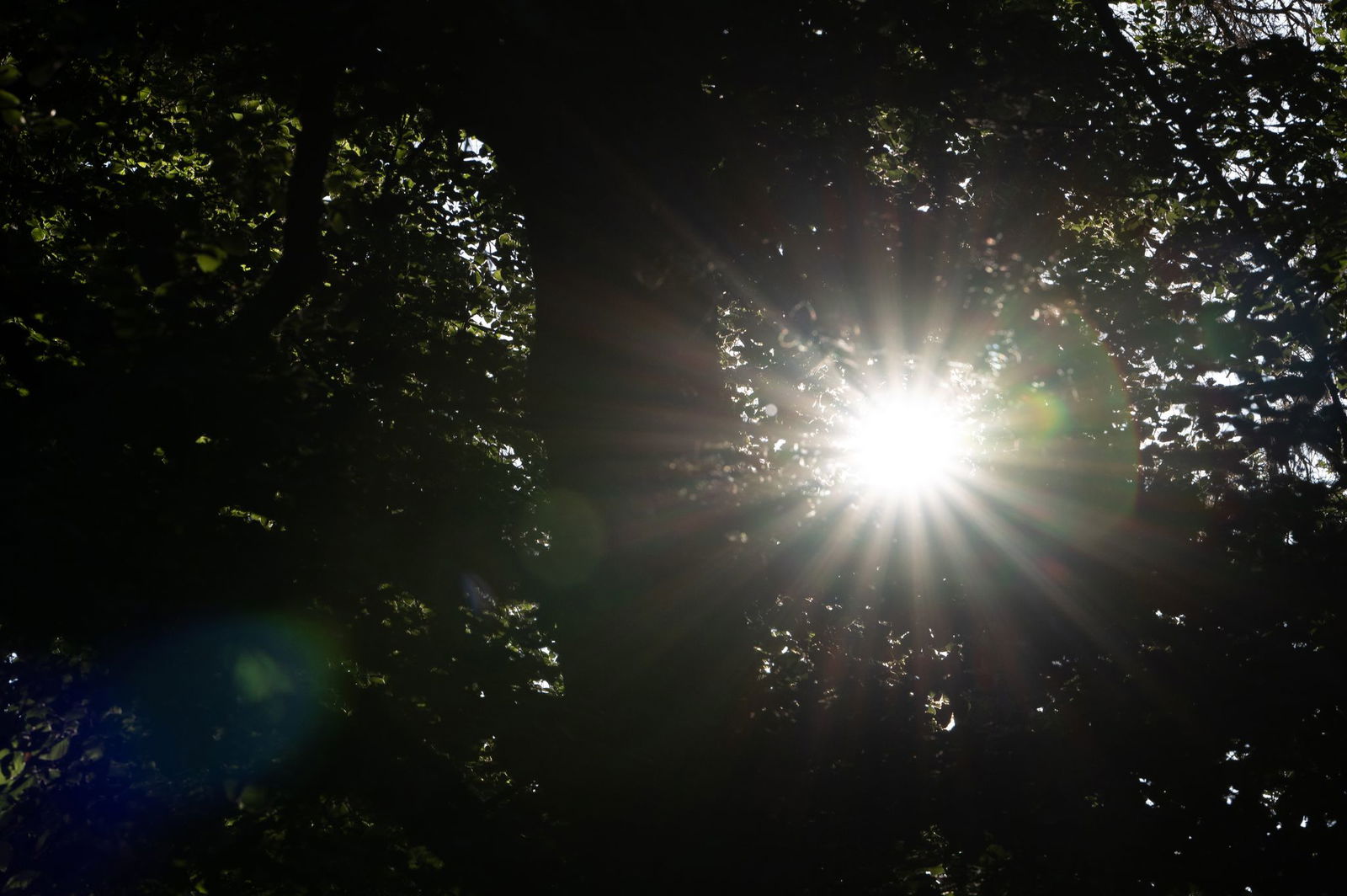 Ab Sonntag kommt die Sonne wieder stärker raus - auch die Temperaturen sollen dann wieder steigen. (Symbolbild)
