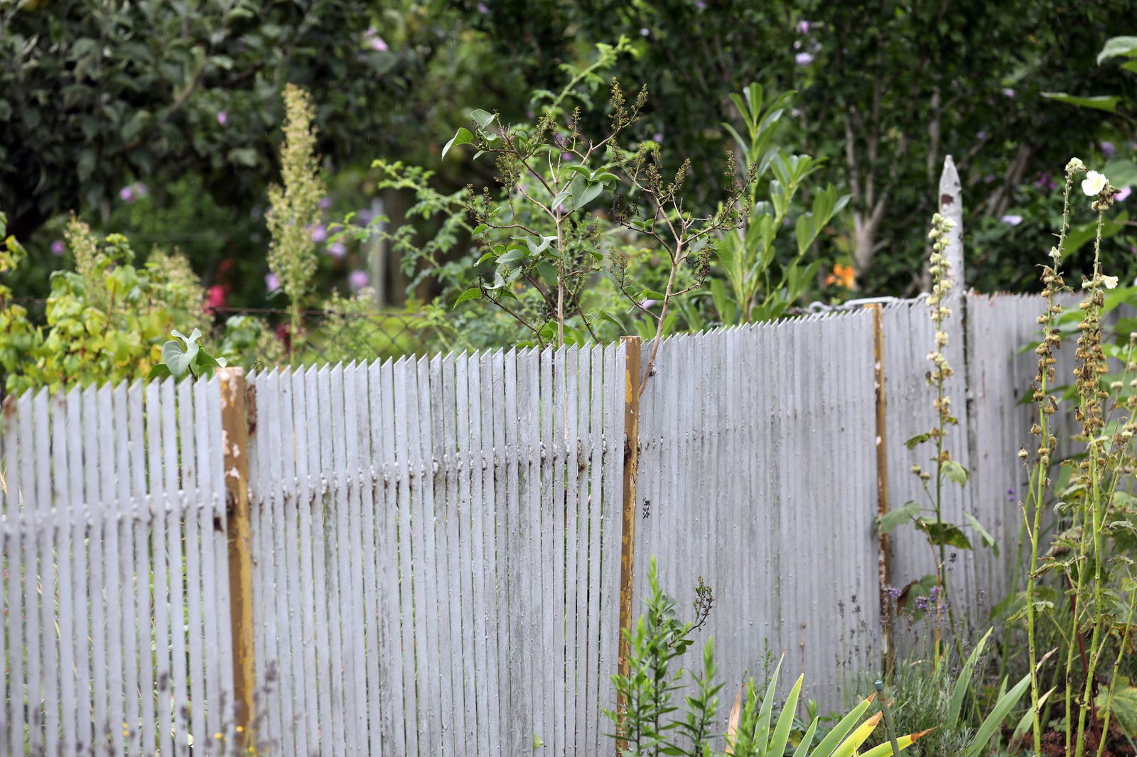 Wenn man ein paar wichtige Tipps im Kopf behält, können viele Streitigkeiten unter Nachbarn verhindert werden. (Symbolbild) 