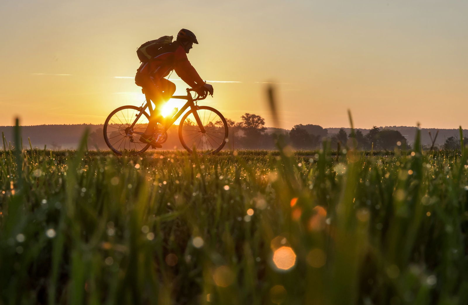 Wetter in Baden-Württemberg: «Sonne satt». (Symbolbild)