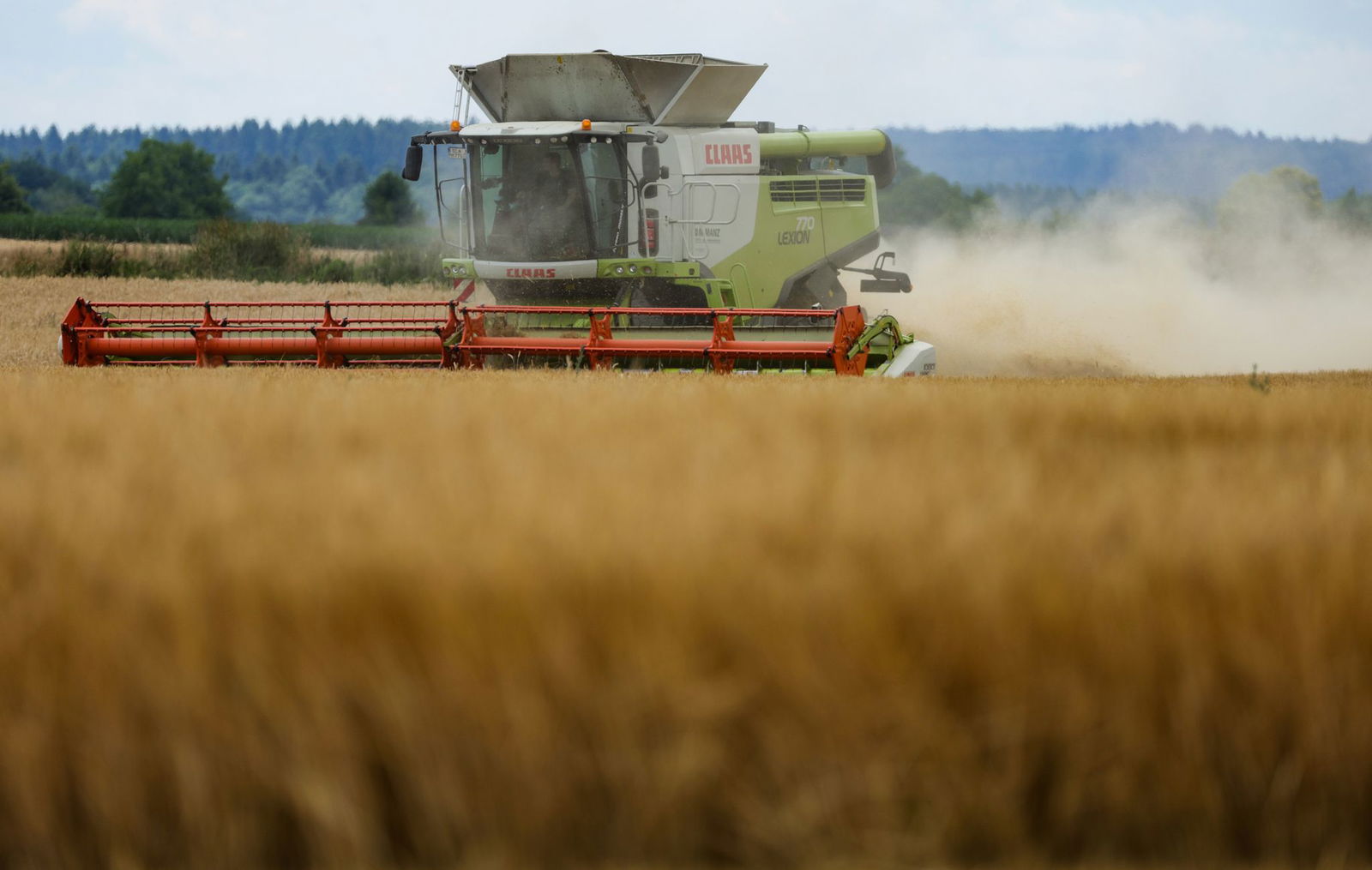 Landesbauernverband: Ernte soll rasch eingefahren werden. (Archivbild)