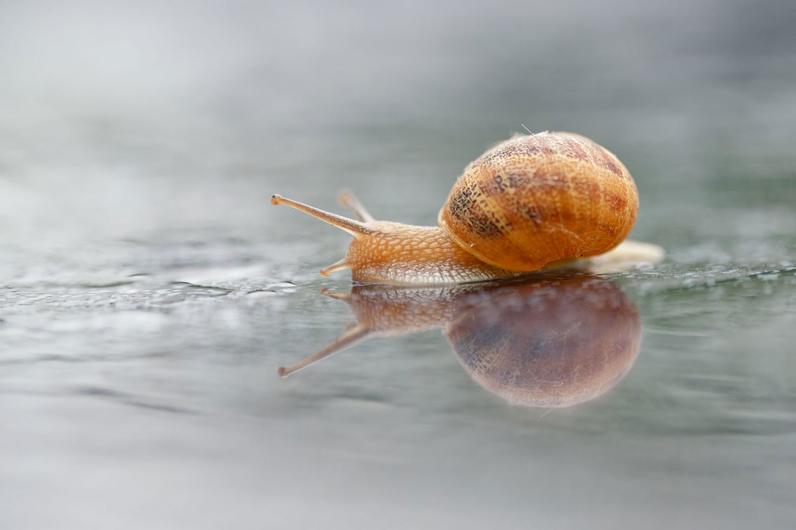 In Baden-Württemberg werden auch wieder Regen und Gewitter erwartet. (Symbolbild)