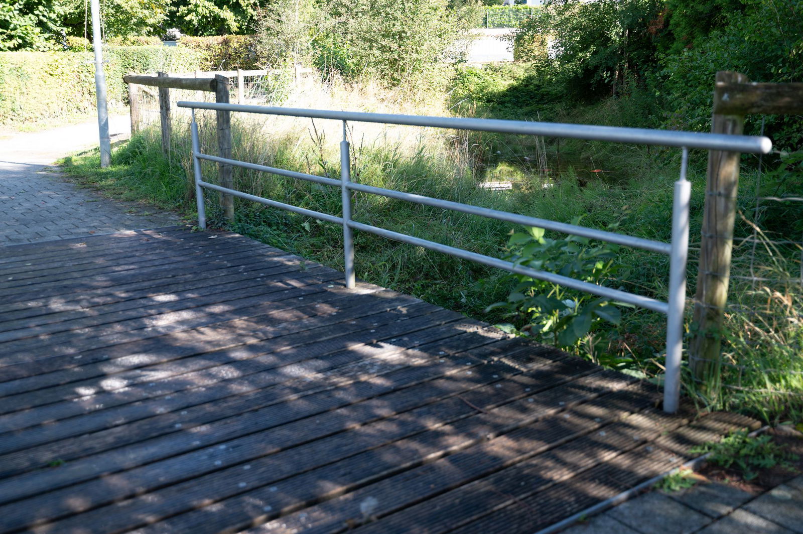 Eine Anwohnerin dachte wegen des Geruchs zunächst an ein totes Tier. 