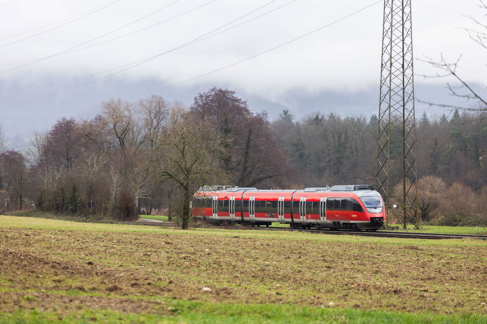 Auf der Hochrheinbahn wird auf eine Länge von 75 Kilometern gebaut. (Archivbild) 