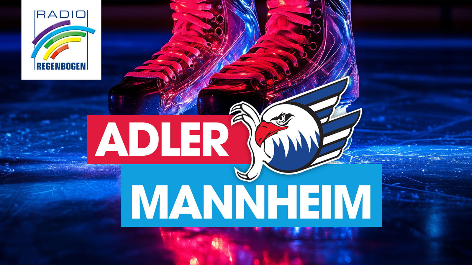 Regenbogen_Cover25_169_Adler