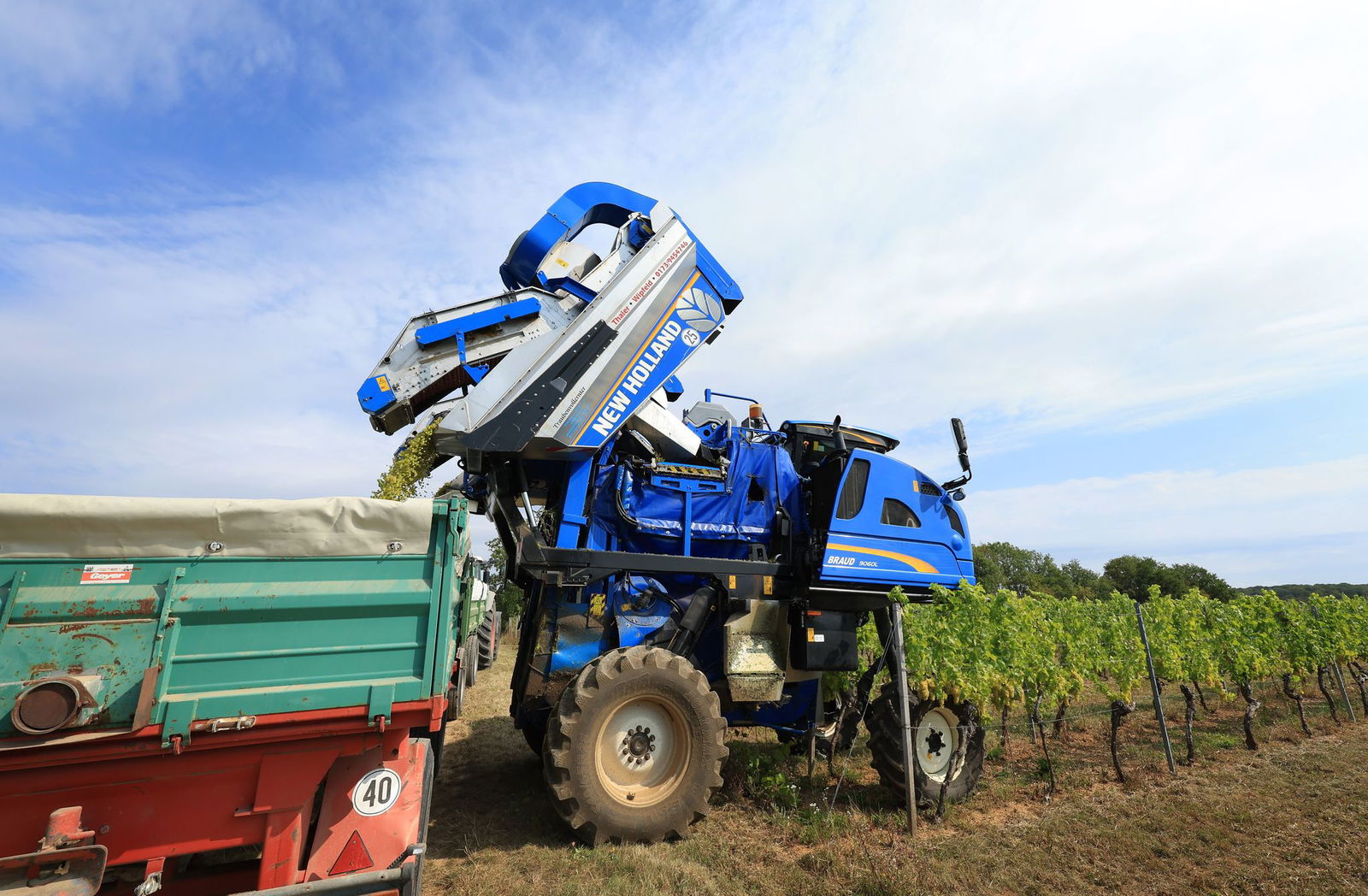 War der Trauben-Diebstahl in Rheinhessen das Versehen eines Vollernter-Fahrers? (Symbolbild)
