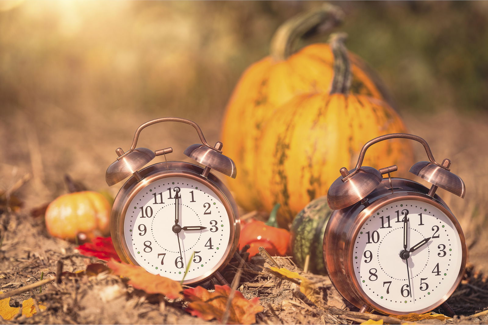 Herbstbild mit zwei Weckern und Kürbis im Hintergrund
