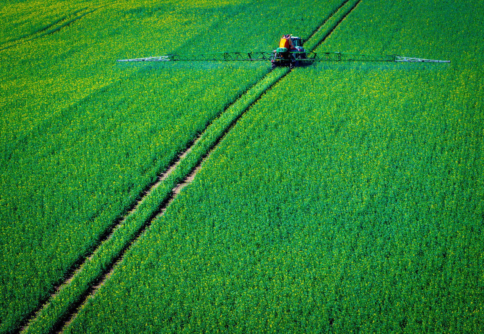 Mit Pflanzenschutzmitteln versuchen Landwirte, Schädlinge zu bekämpfen. (Archivbild)  