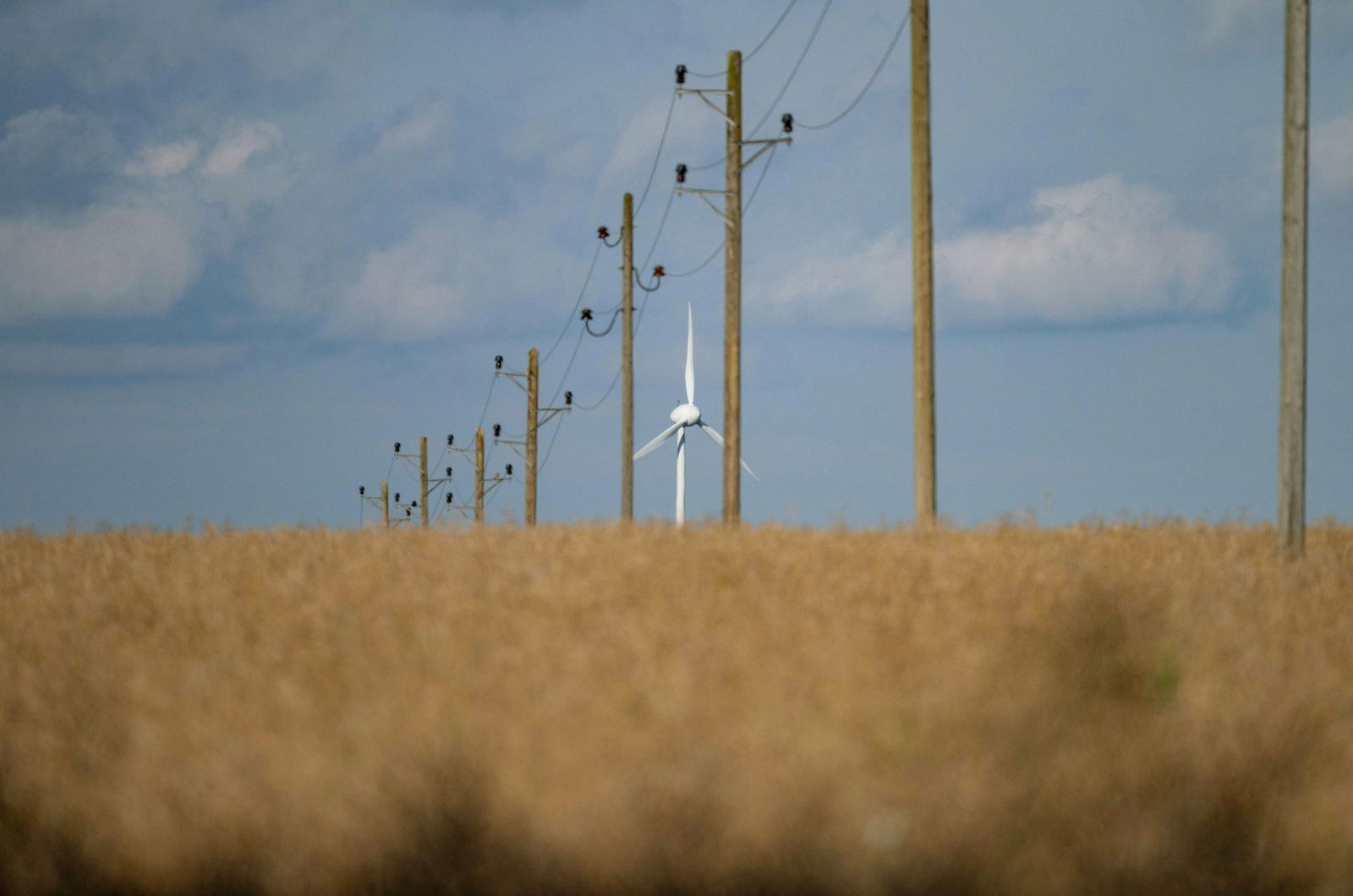 Baden-Württemberg hat laut WWF Nachholbedarf in Sachen Energiewende. (Archivbild)