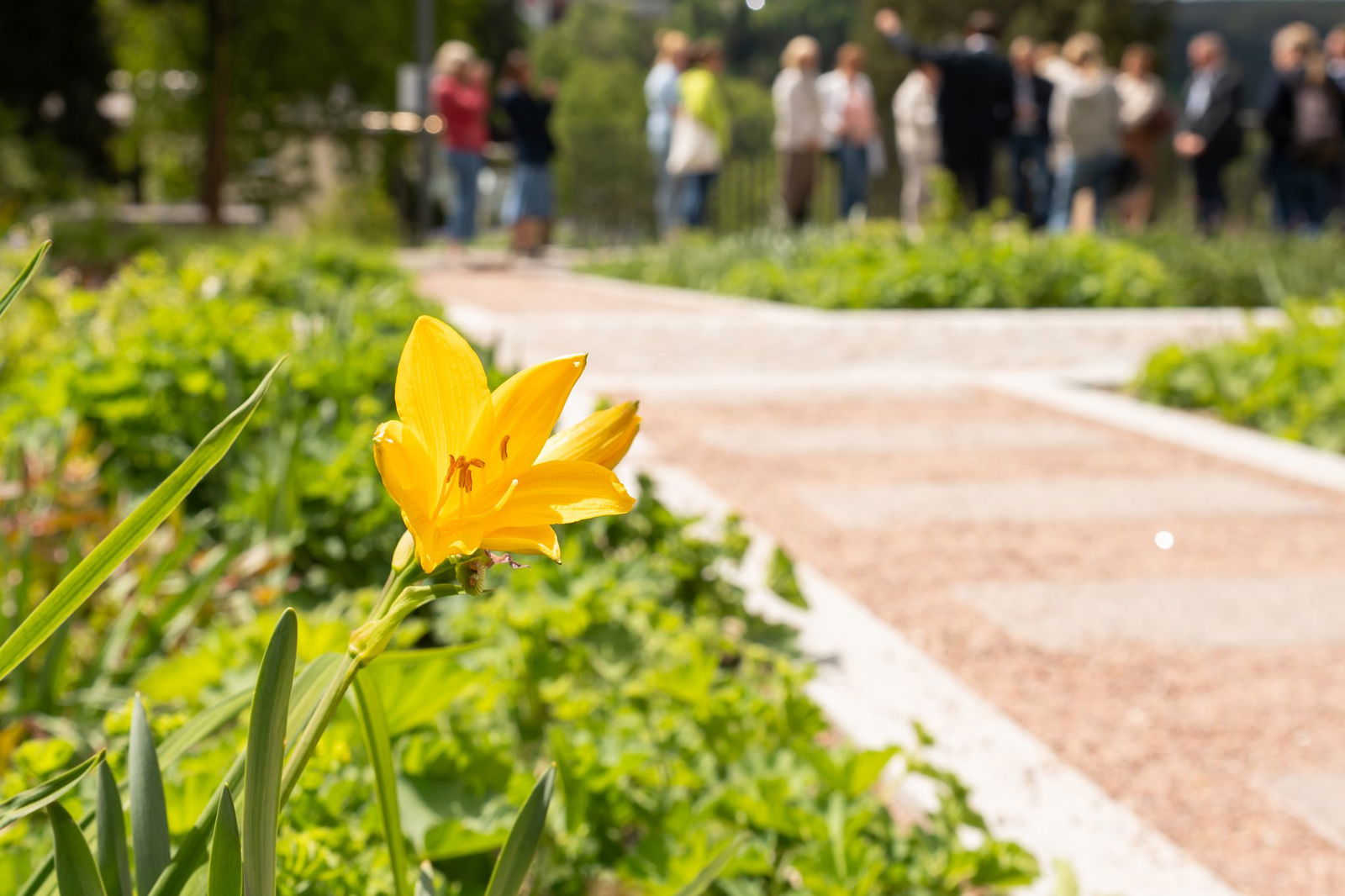 Diese Ausbildung ist seit einigen Jahren besonders gefragt. (Archivbild)