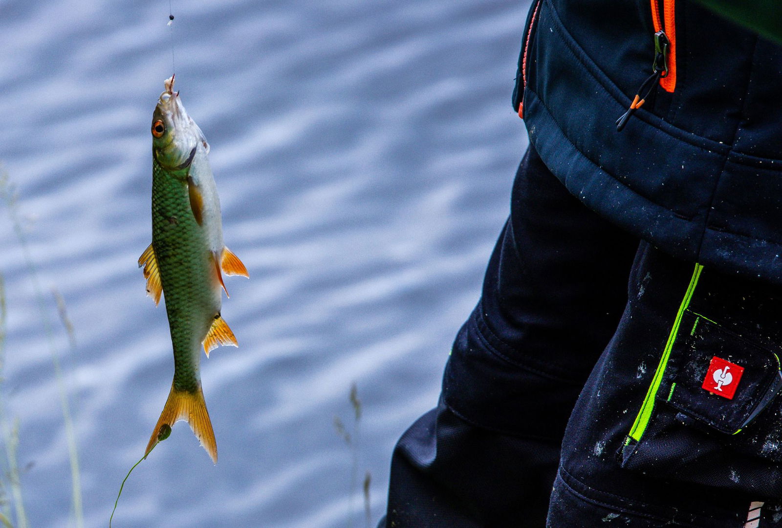 In den sozialen Medien präsentieren Angler gerne ihren Fang. (Archivbild) 
