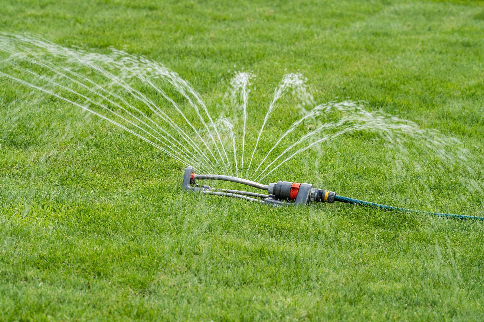 Der Verband für Garten-, Landschafts- und Sportplatzbau fordert eine Meisterschule in Rheinland-Pfalz. (Archivbild)
