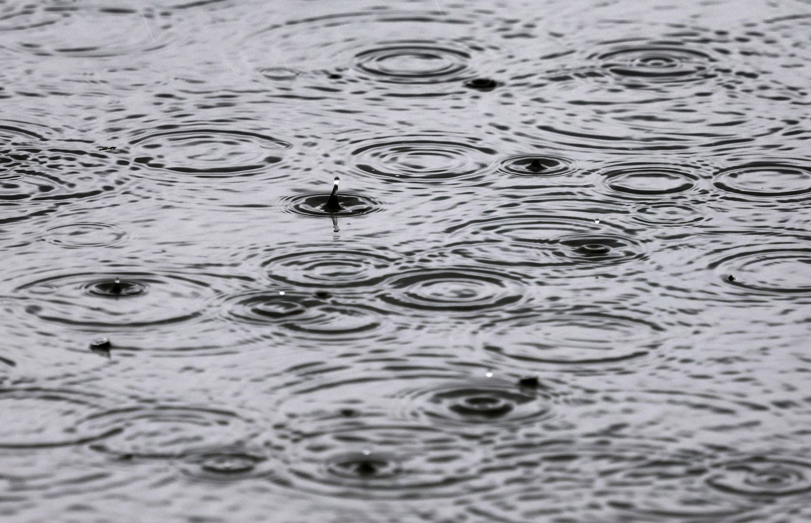 Mancherorts soll so viel Regen fallen wie sonst in einem Monat. (Archivbild)