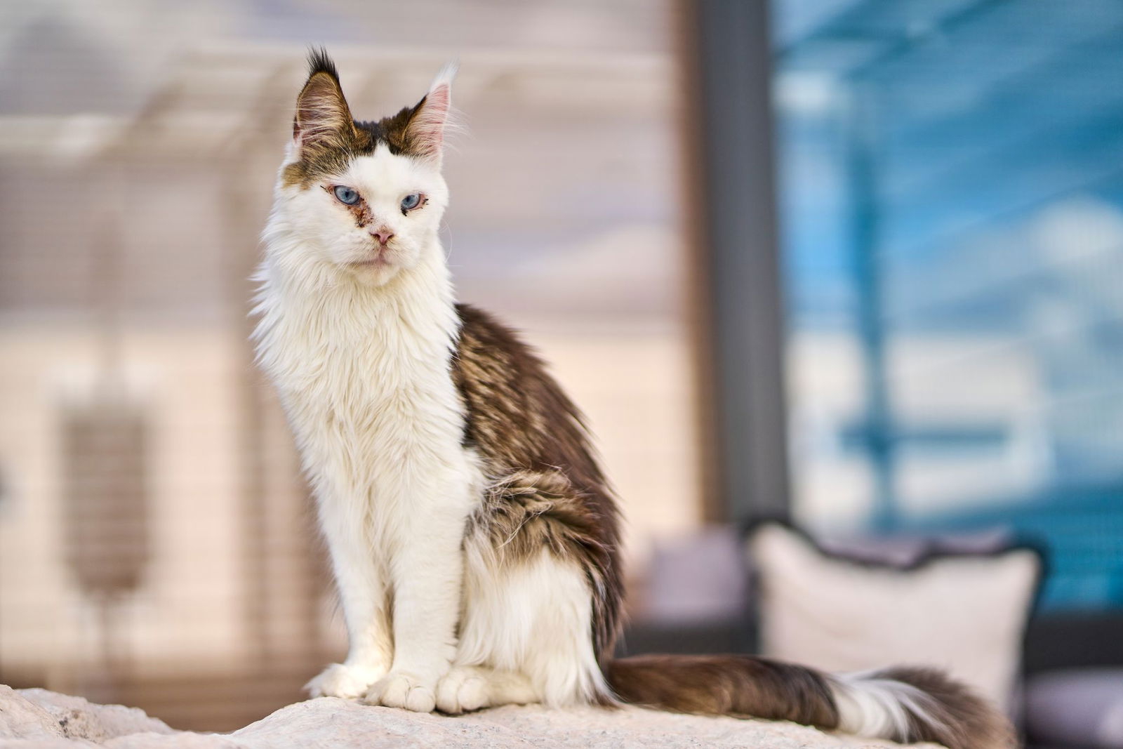 Gekuschelt werden darf natürlich auch. 