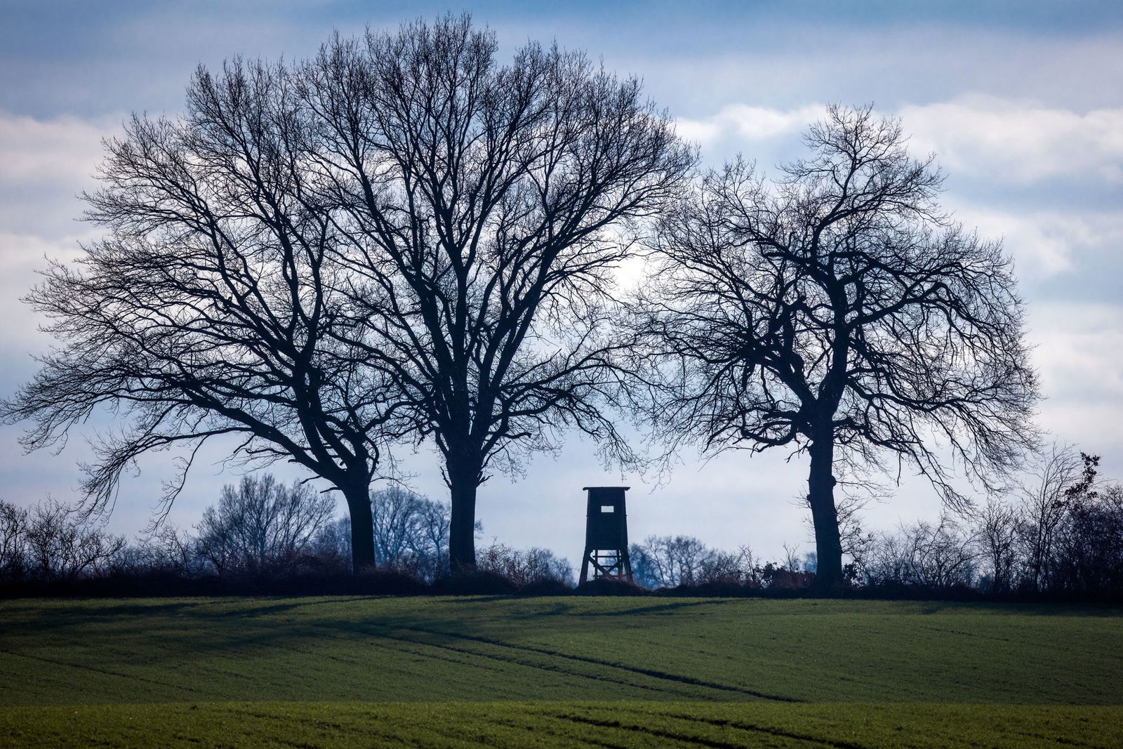 Ein mutmaßlicher Jagdwilderer war im Hunsrück unterwegs. (Symbolbild)