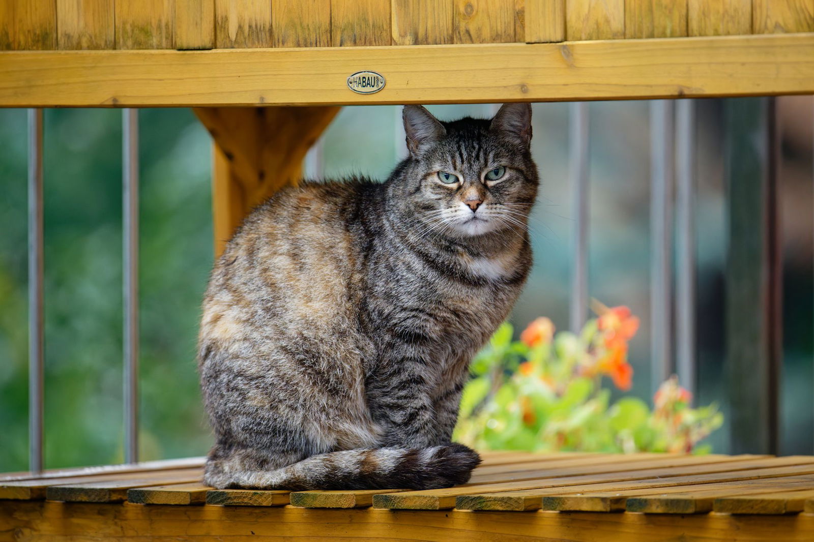 In Baden-Württemberg bleibt das Wetter wechselhaft und nass. (Archivbild)