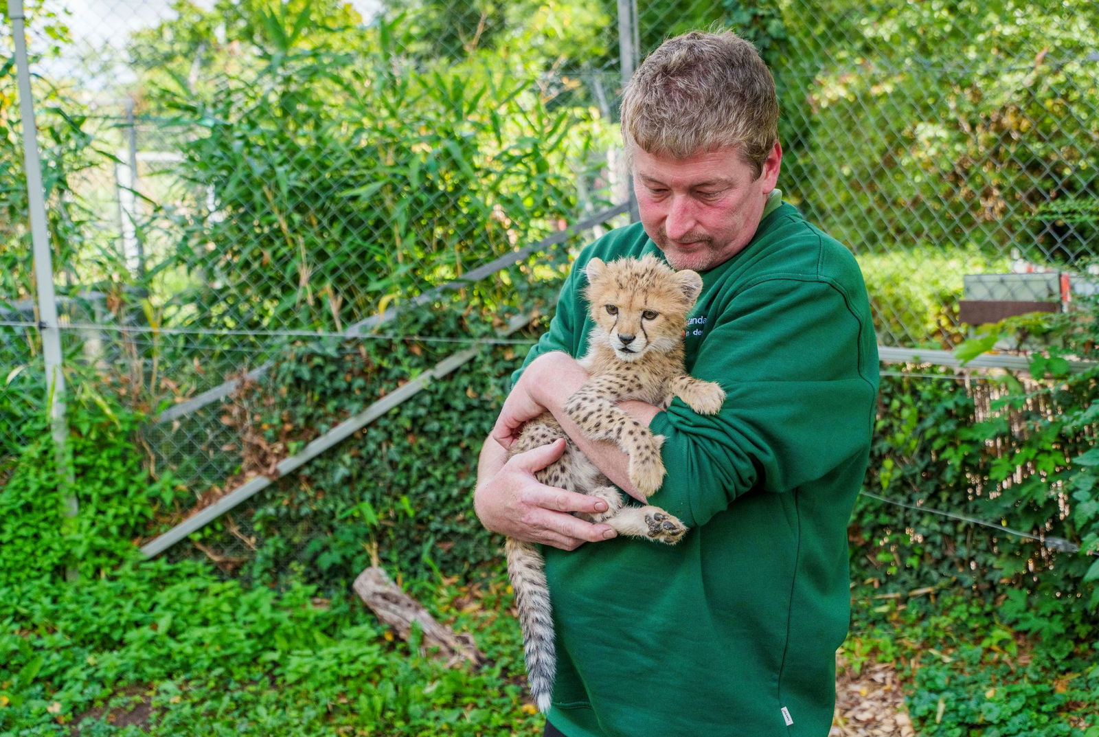 Das Jungtier wurde mit der Flasche aufgezogen.