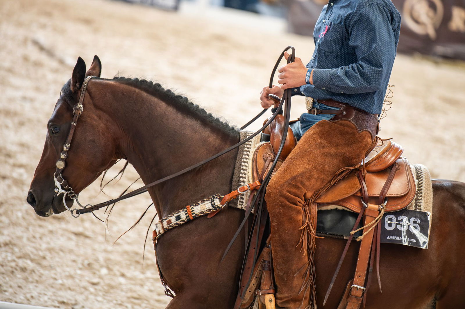 Top-Ranches präsentieren sich auf der Messe. 