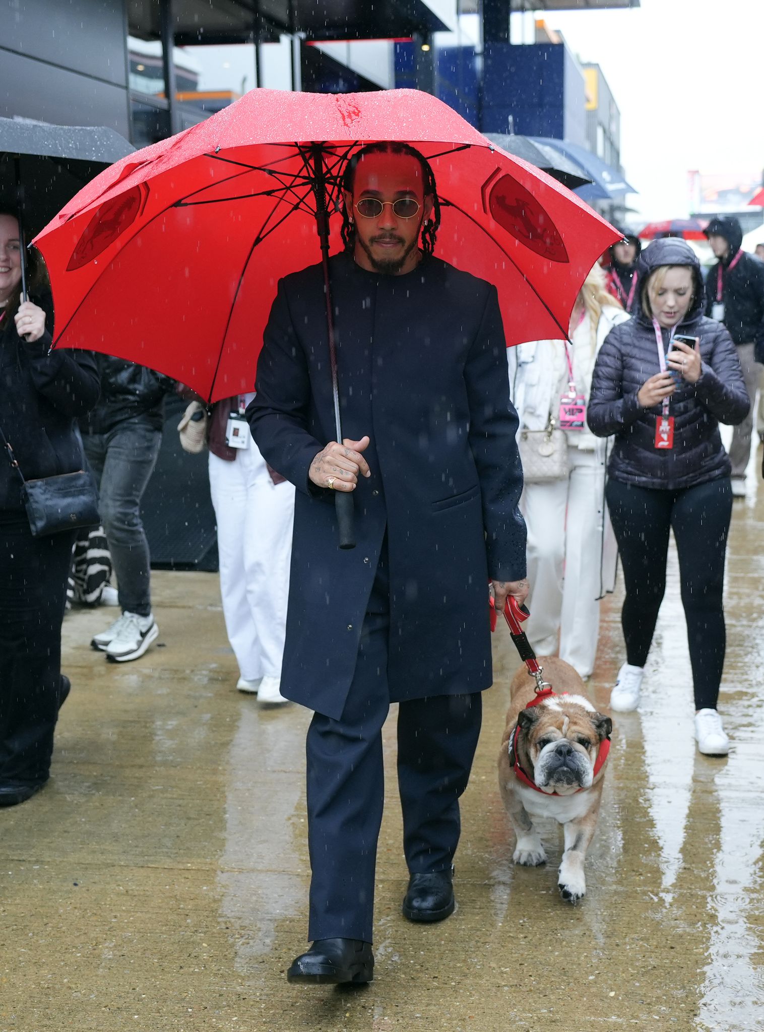 Lewis Hamilton nahm die Bulldogge öfter mal mit an die Rennstrecke. (Archivbild)