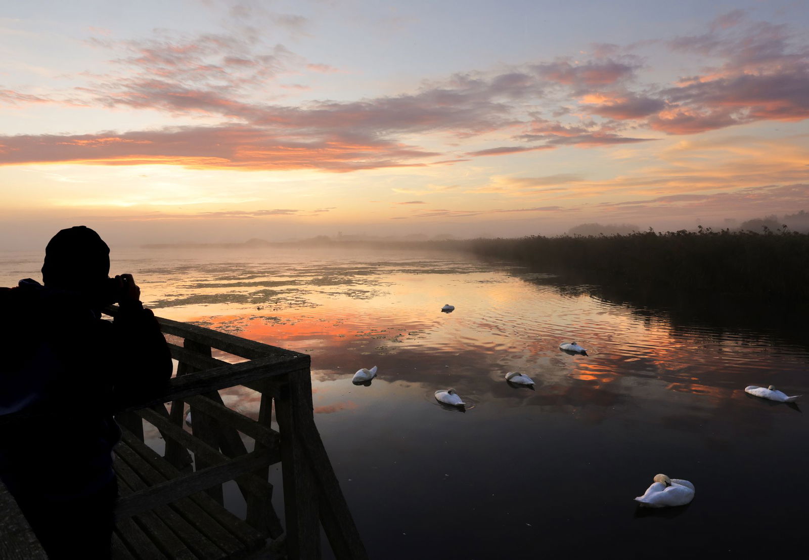 Nicht nur die Schwäne bekommen nasse Füße in den kommenden Tagen. 