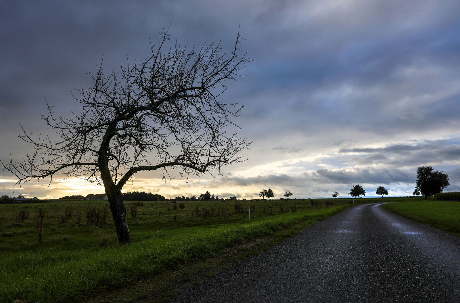 Am Sonntag erwartet der Deutsche Wetterdienst (DWD) vom Westen her Schauer und kurze Gewitter.