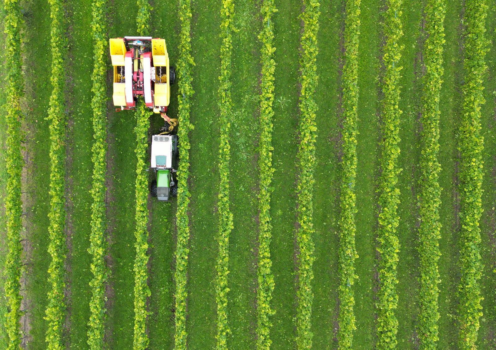 Sonnenschein pur: In Baden-Württemberg zeigt sich der September am Freitag von seiner goldenen Seite. (Archivbild)