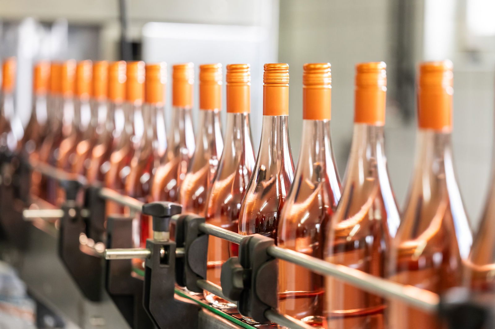 Das Deutsche Weininstitut sieht Weinmischgetränke als einen Trend. 