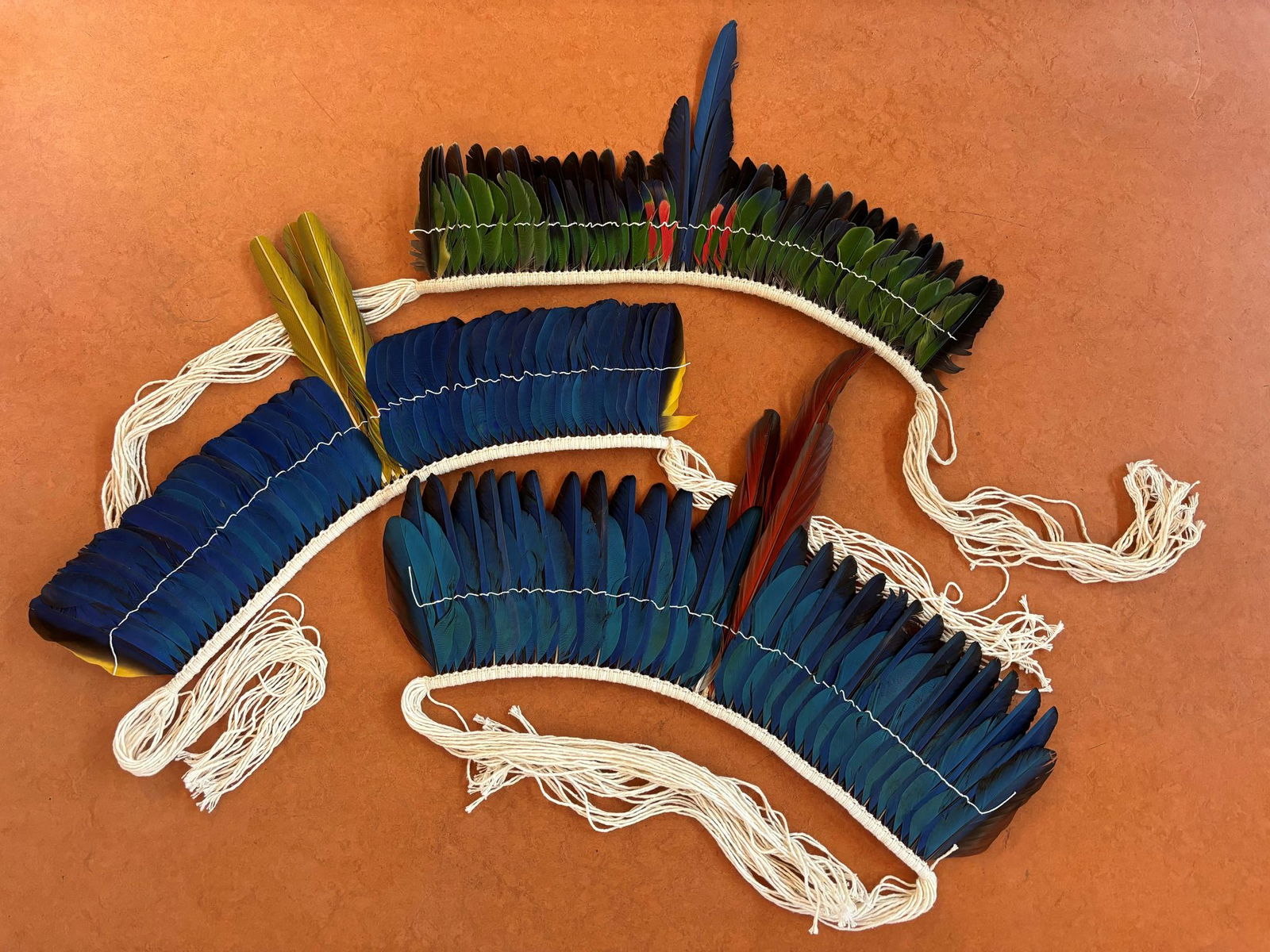 Die Federkronen stammen aus Brasilien.