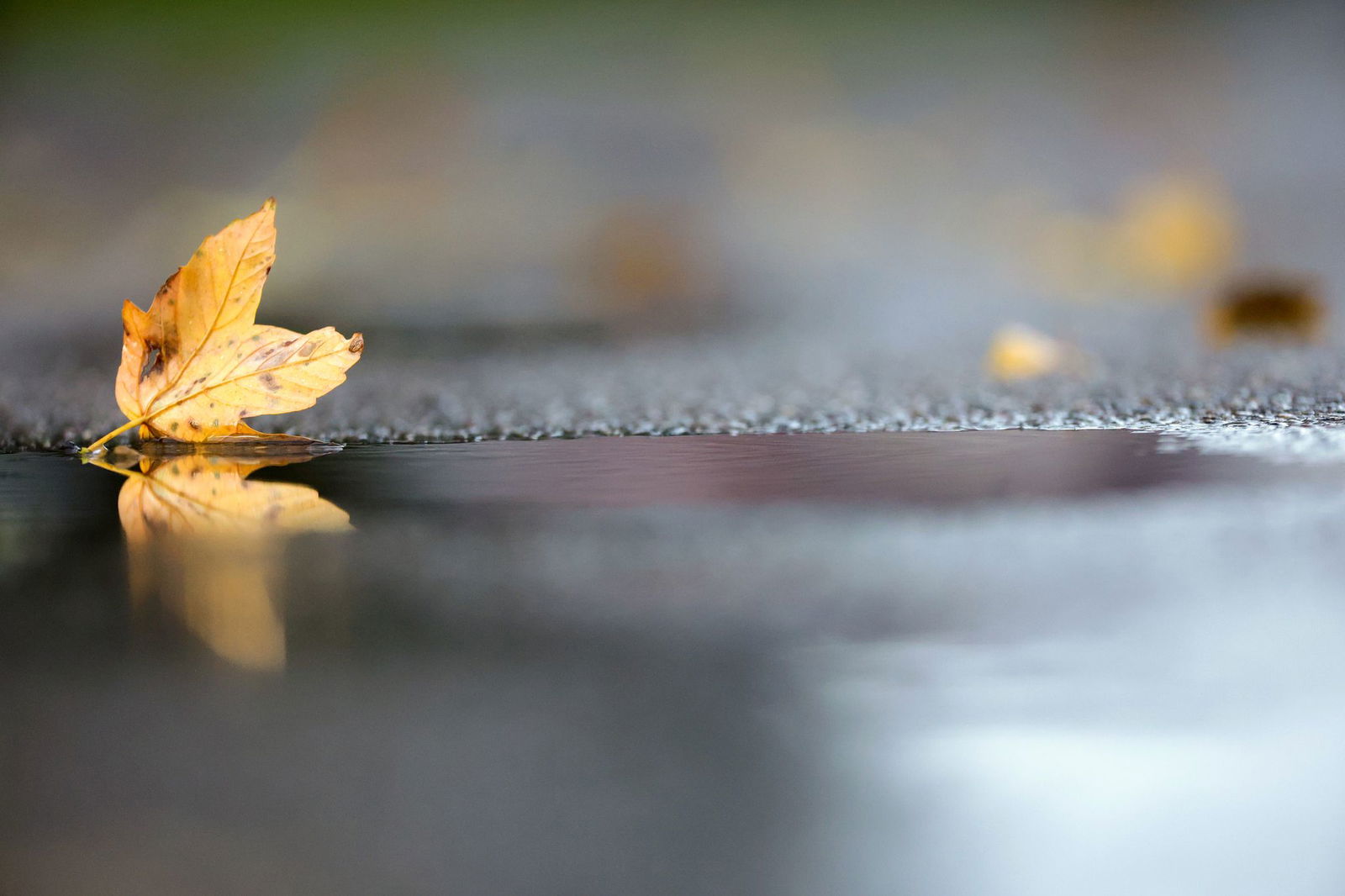 Die nächsten Tage im Südwesten sollen von Niederschlag dominiert werden. (Archivbild)