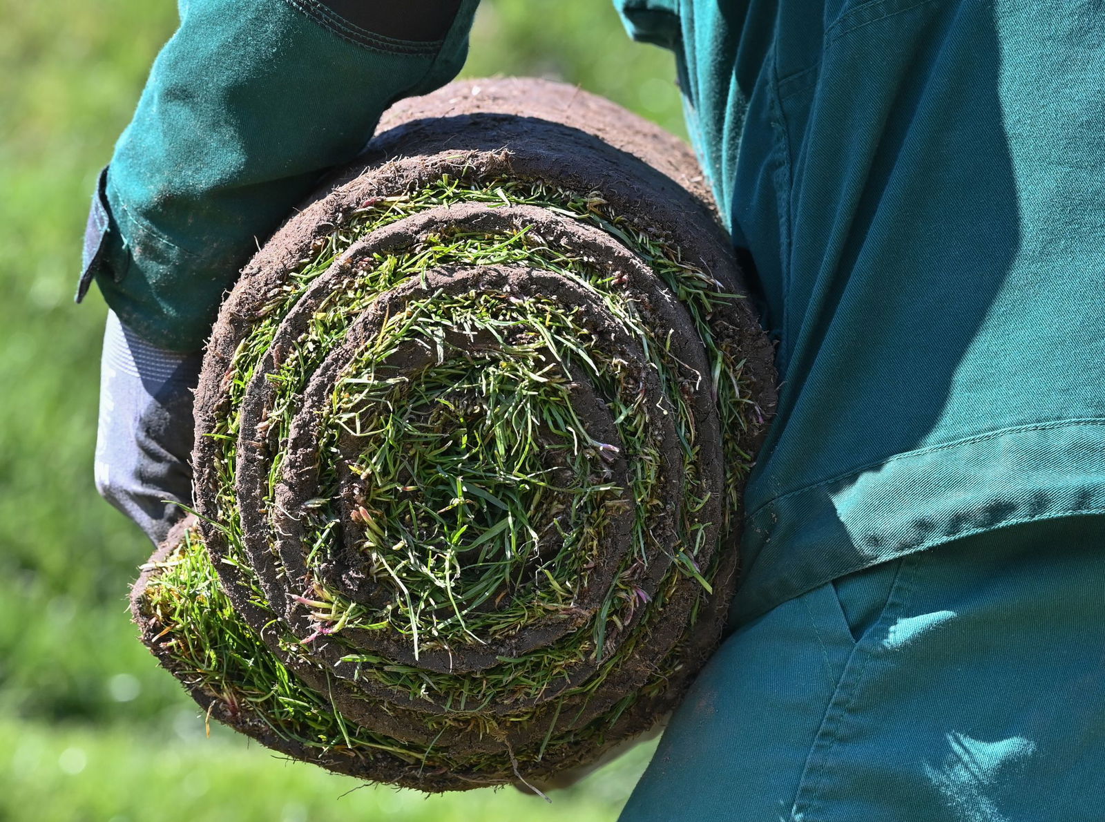Die Diskussionen über den Klimawandel haben dem Garten- und Landschaftsbau Zuwachs gebracht. (Archivbild)