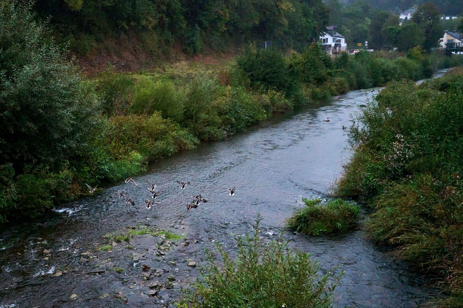 Zurzeit sei der Regen in vielen Bereichen gut, hieß es. (Archivbild)
