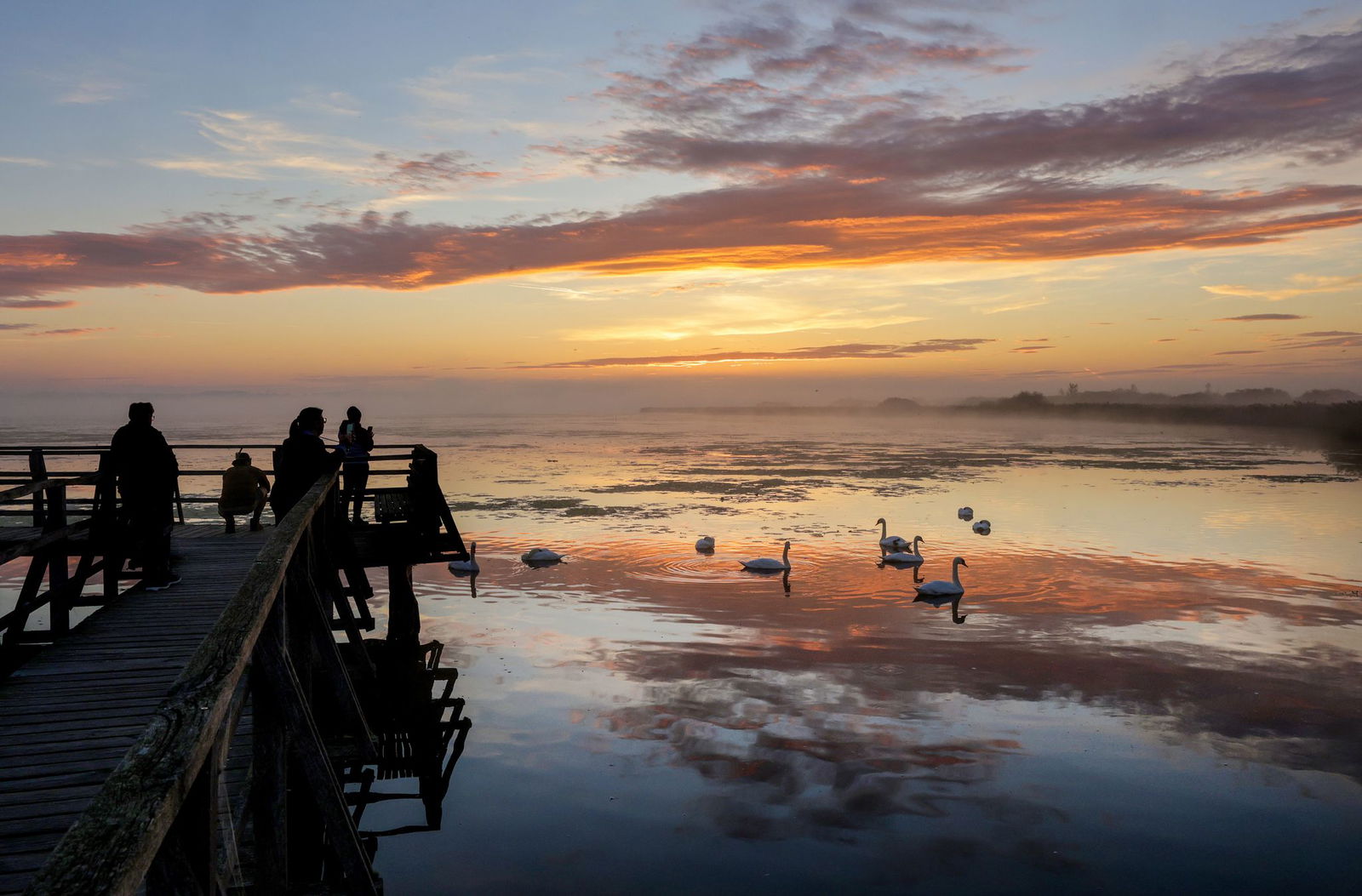 Nicht nur die Schwäne bekommen nasse Füße in den kommenden Tagen. 