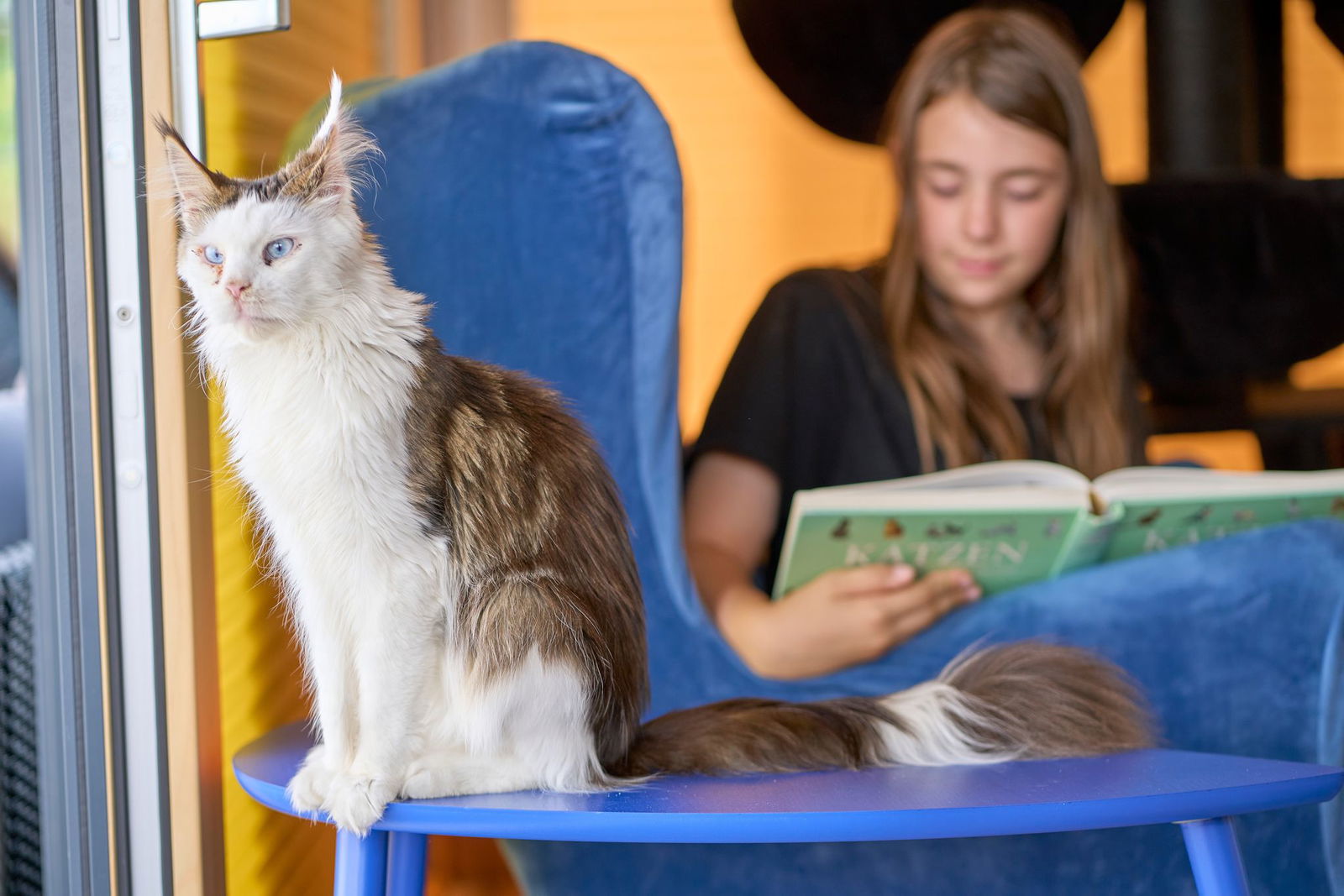 Die Aktion soll den Kindern helfen, ihre Scheu beim Vorlesen zu überwinden. 