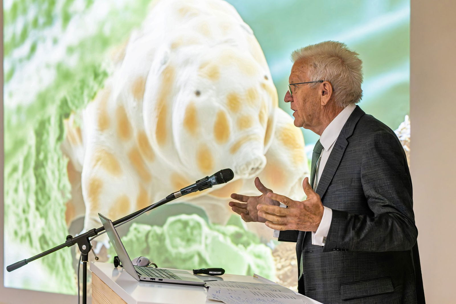 Winzig und doch bärenstark: Die neu entdeckte Bärtierchenart «Ramazzottius kretschmanni».