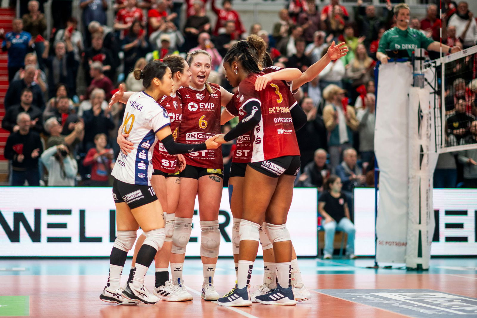 Die Volleyballerinnen des SC Potsdam müssen die Bundesliga-Lizenz zurückgeben. (Archivbild)